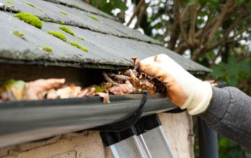 gutter cleaning Eaton